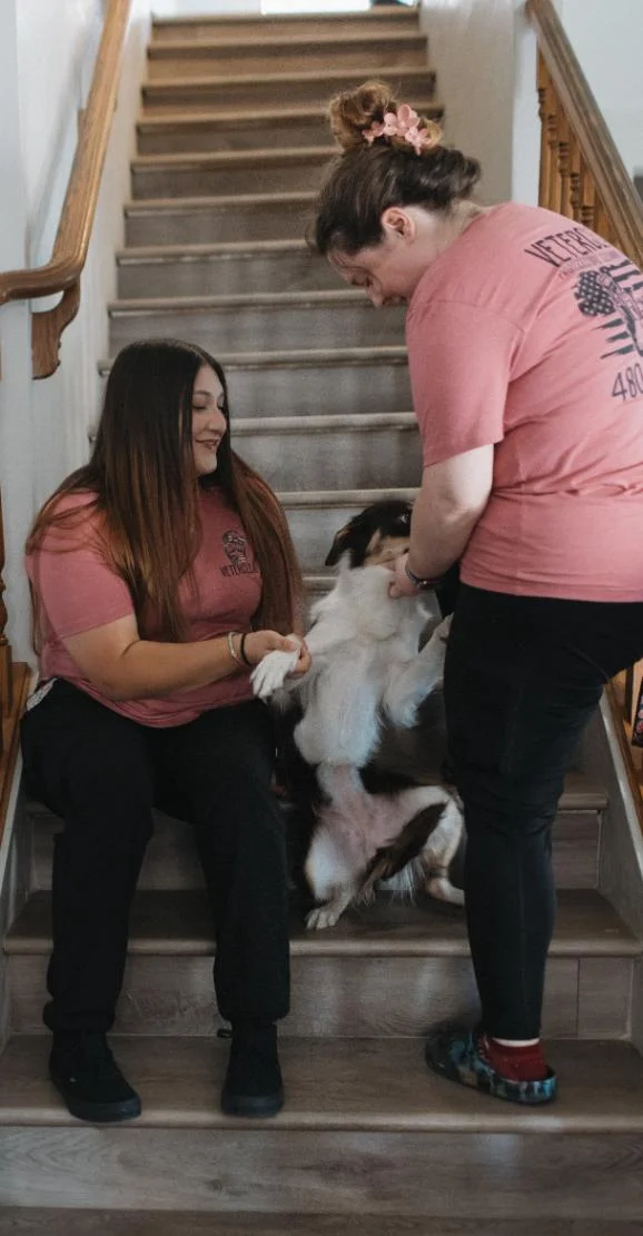 Specialty cleaning services