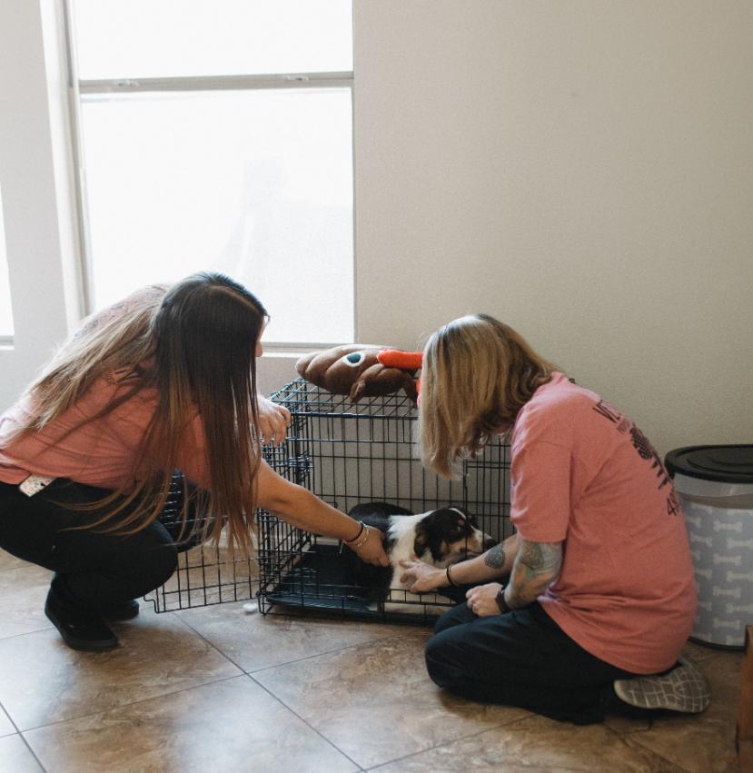 Eco-friendly cleaning products