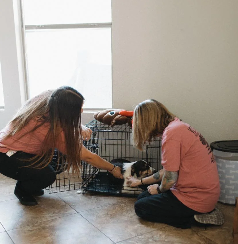 Eco-friendly cleaning products