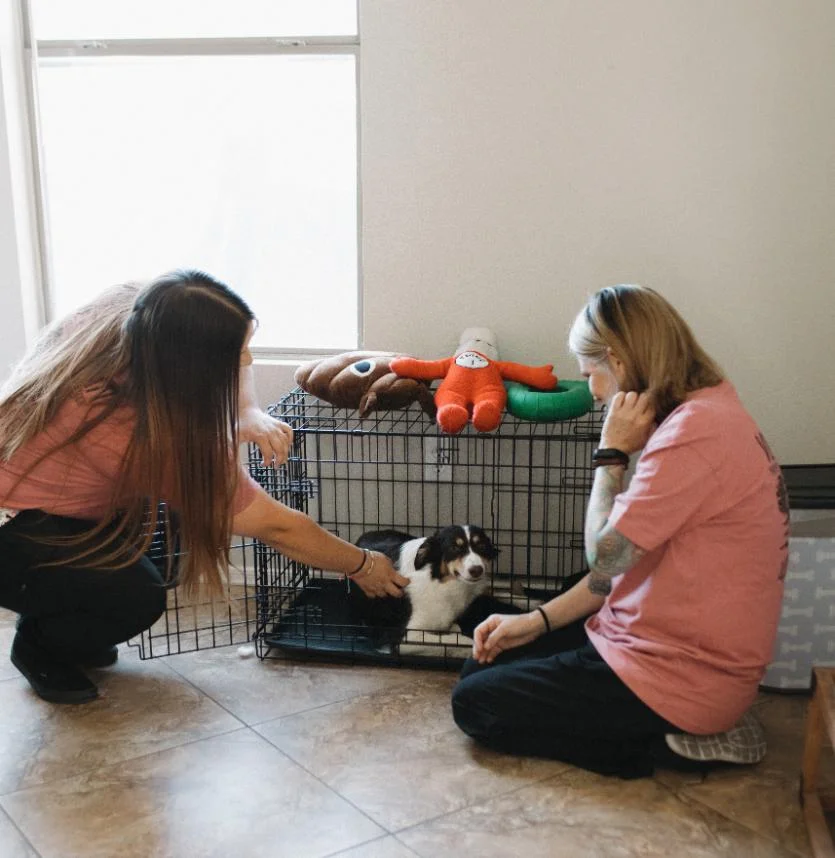 Clean modern kitchen