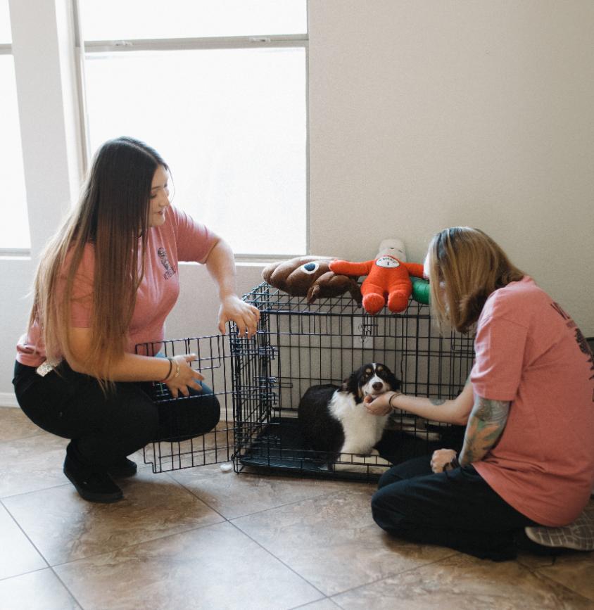 VeterClean Chandler team professional