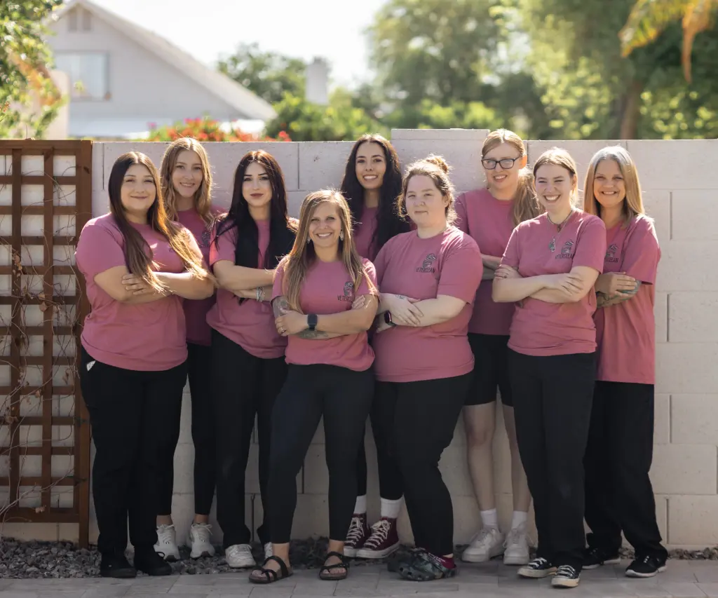 VeterClean Tempe luxury home service