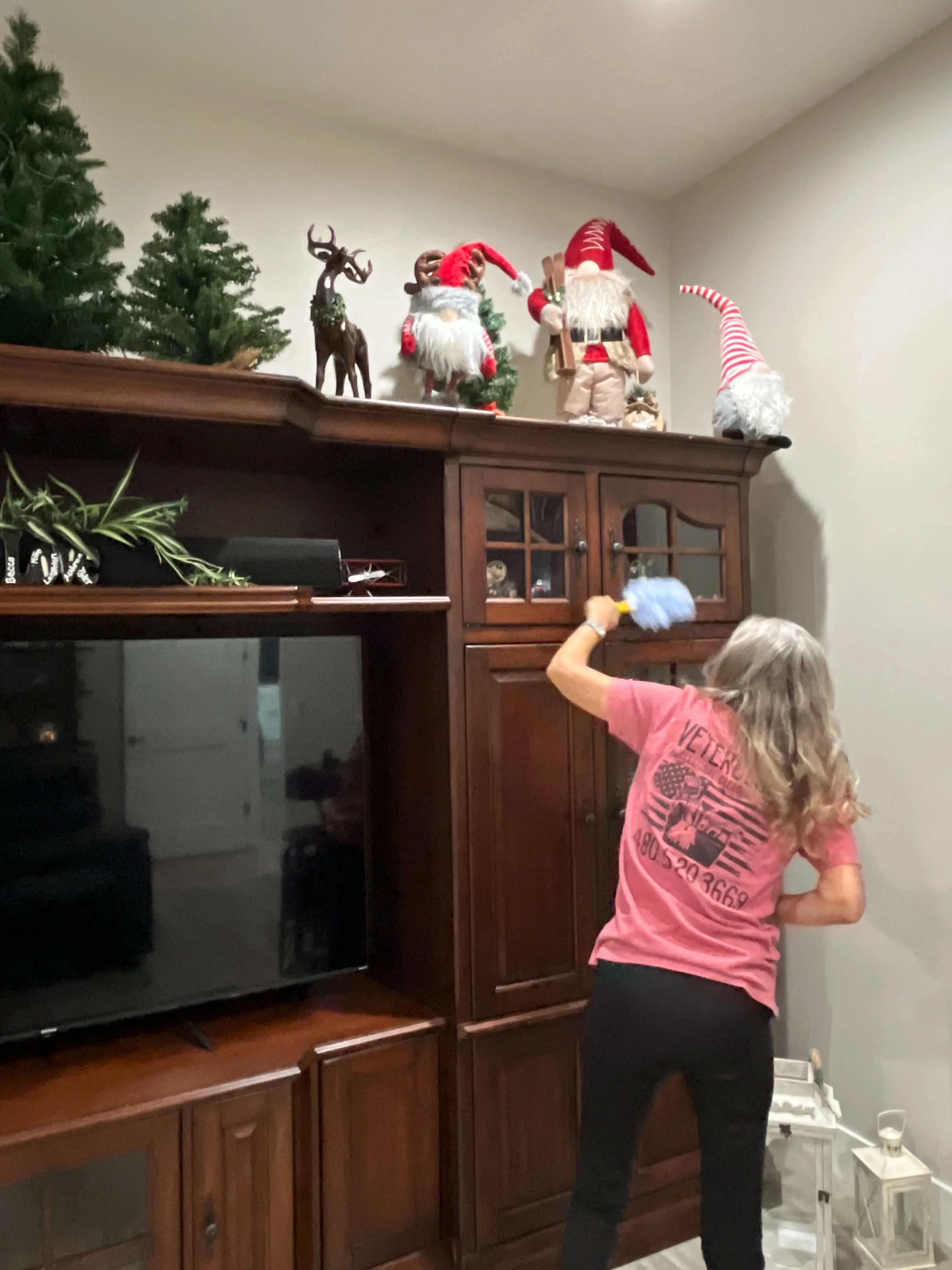 Hastings Farms family home cleaning service Queen Creek