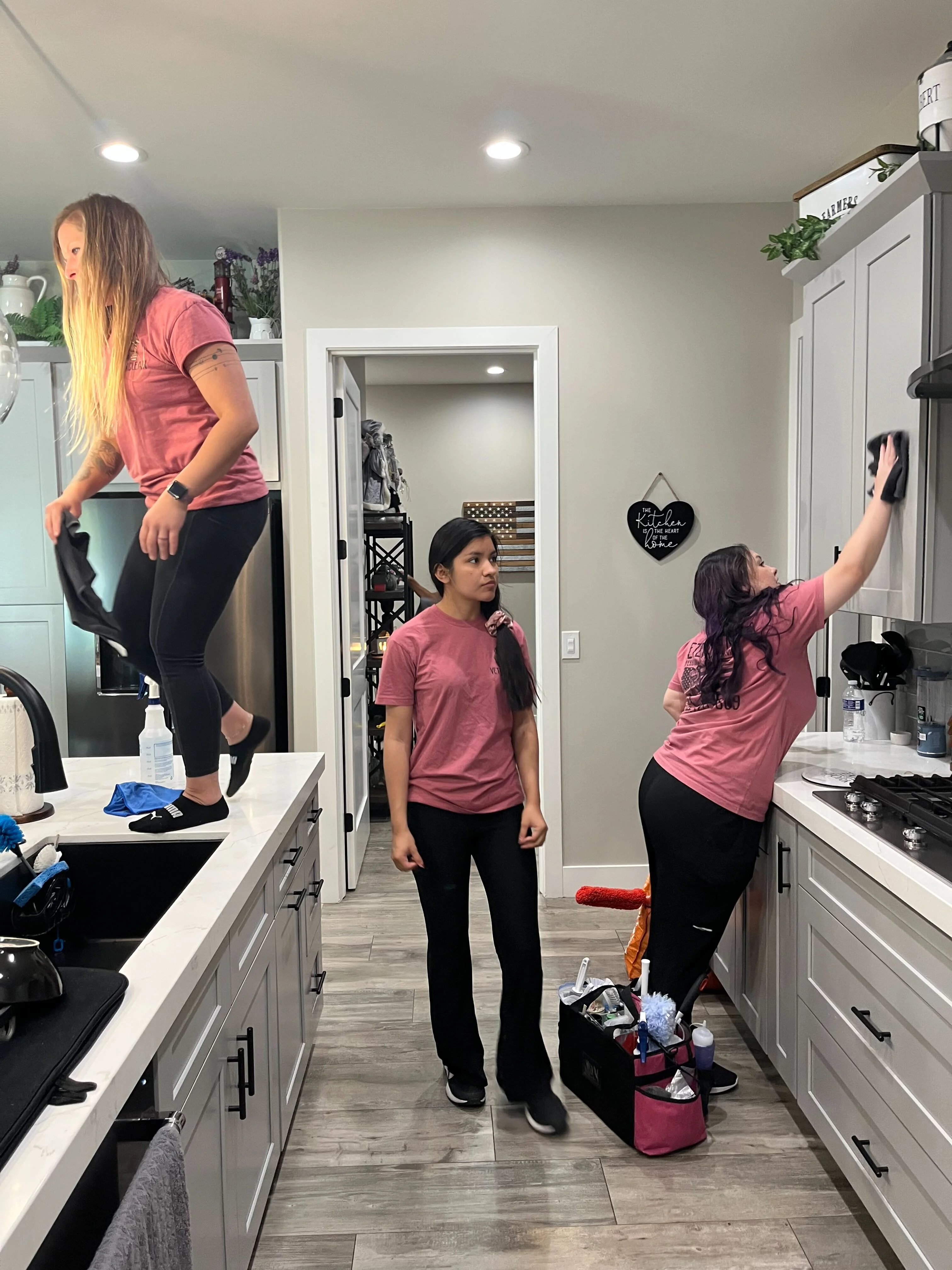 Oven deep cleaning service