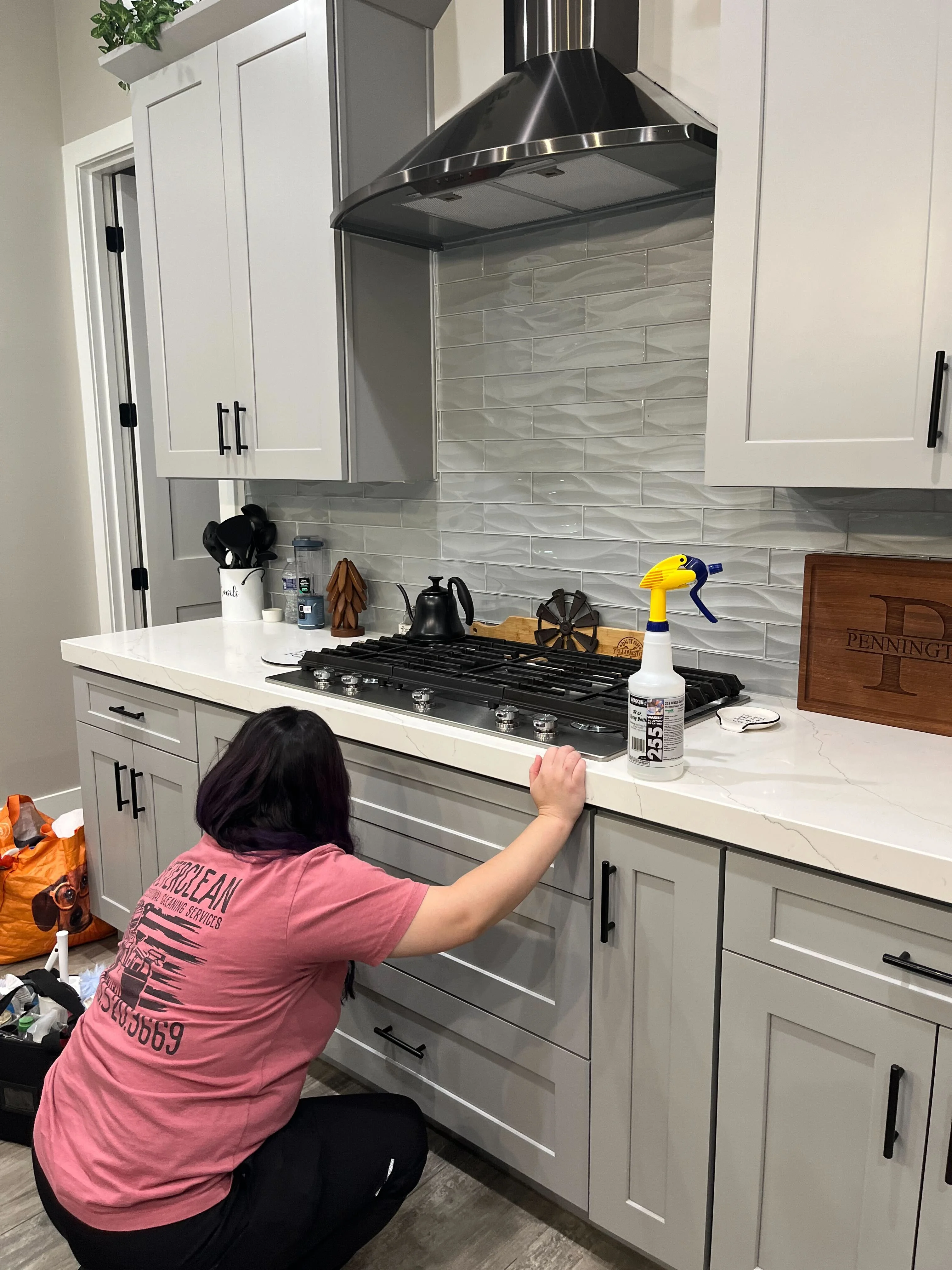 Recurring house cleaning Mesa AZ