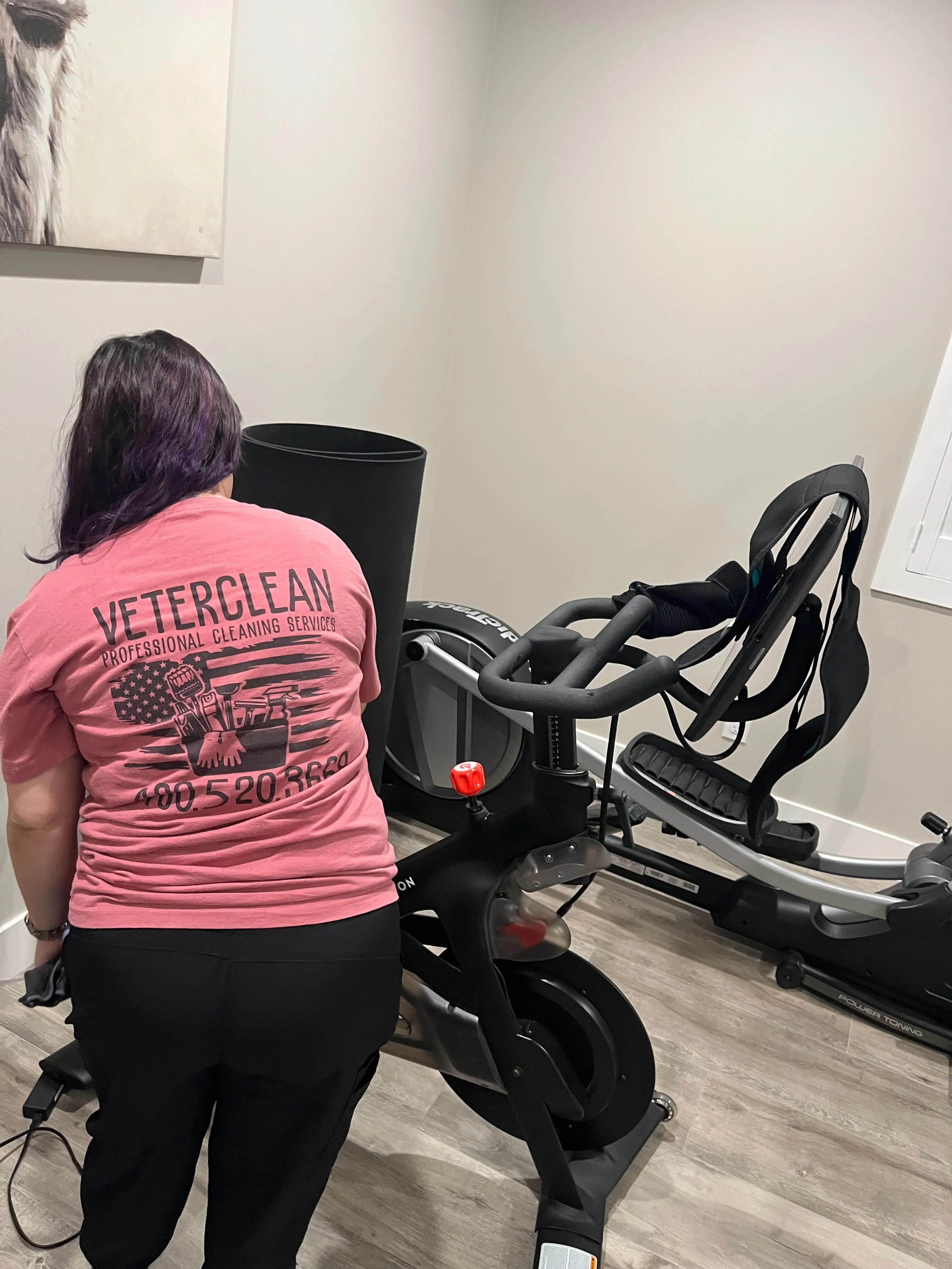 Ceiling fan and fixture cleaning