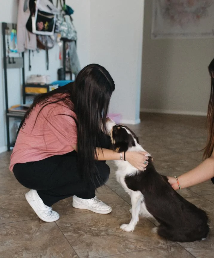 Clean kitchen Chandler AZ