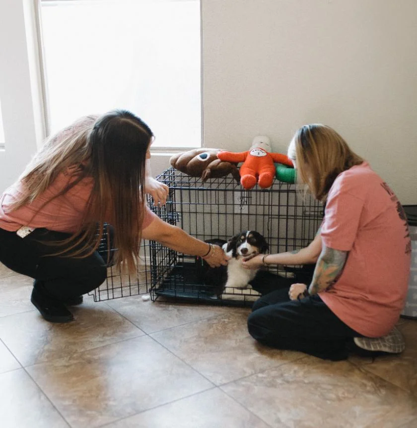 VeterClean cleaning team